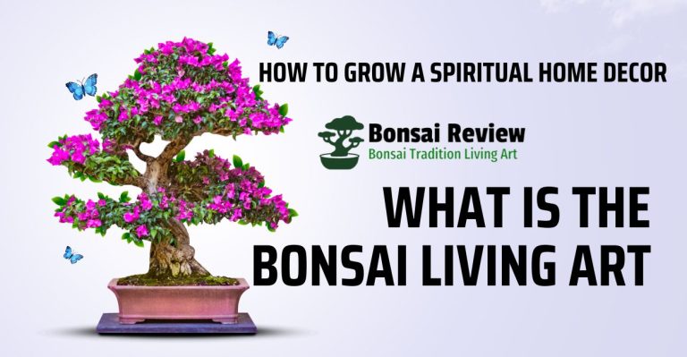 What is Bonsai Living Art Tradition Spiritual Dwarf Plants with Bonsai Review