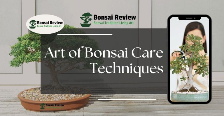 Art of Bonsai Care Techniques with Bonsai Review