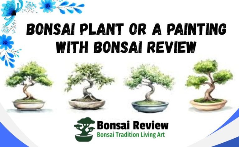 Is It Bonsai Plant or a Painting made bonsai tree with bonsai review