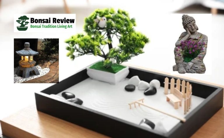 Indoor Gardening and Zen Garden Decor with Bonsai Review and UK Deb