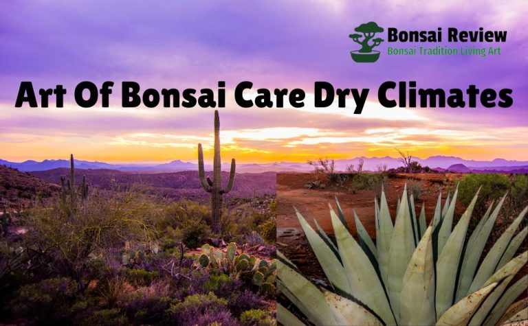 Art Of Bonsai Care Arizona Climates with bonsai review