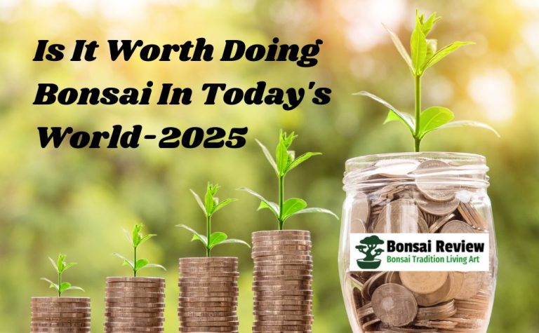 Bonsai is worth it in 2025World? with Bonsai review