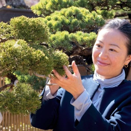 Customer Emma Leman Bonsai review