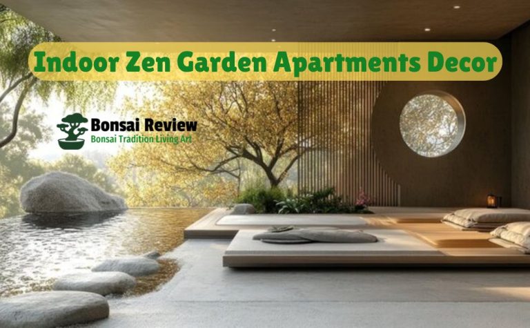 Indoor Zen Garden Apartment Decor with bonsai review
