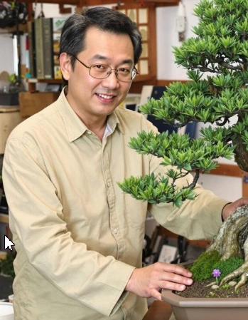 Thomas Shoji, Bonsai Review