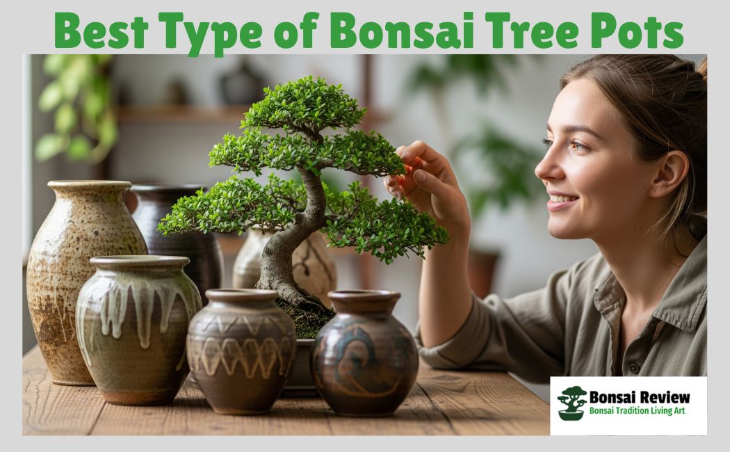 type of bonsai tree pots with bonsai review