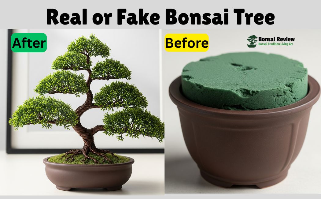 DIY Faux Bonsai Tree: Make a Realistic Fake Bonsai at Home. With Bonsai Review