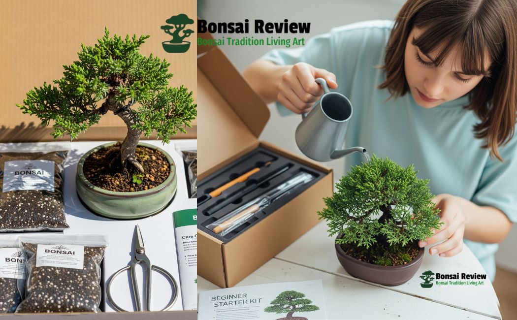 DIY Bonsai Care Supplies Online in the USA with Bonsai Review.