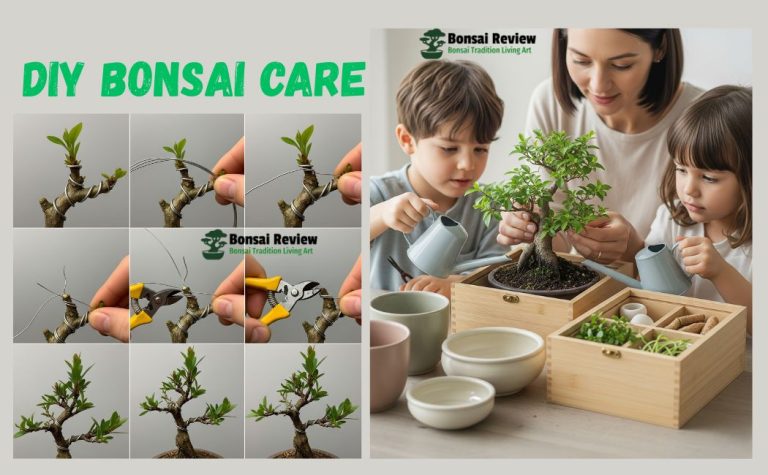DIY Bonsai Care Supplies Online in the USA with Bonsai Review.