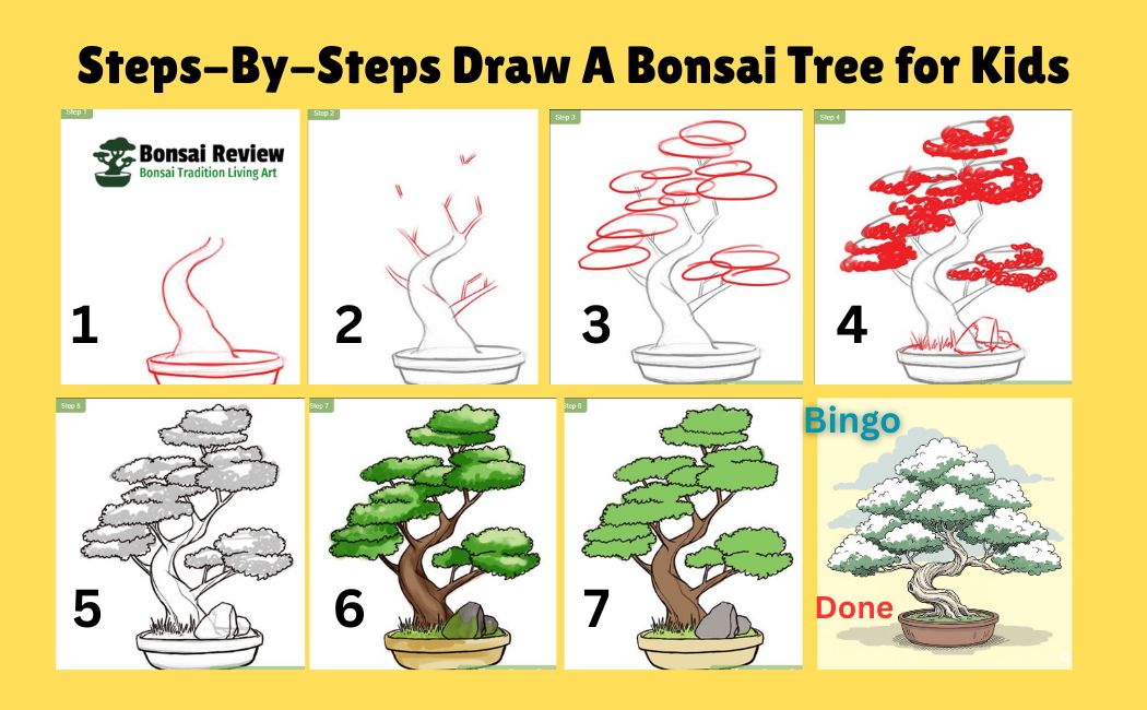 Steps-by-steps Draw A Bonsai Tree for Kids with bonsai review
