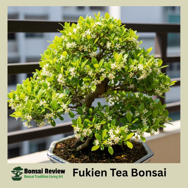 Best Bonsai Flower Plants for Beginners