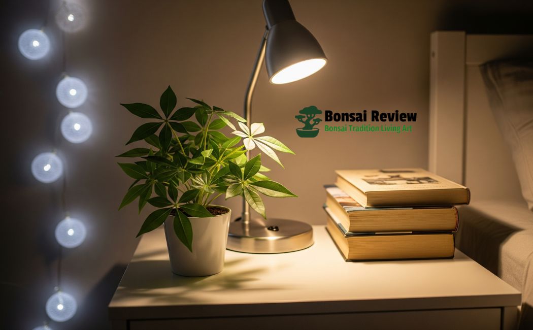 Artificial Money Plant Decoration Ideas Indoor with bonsai review