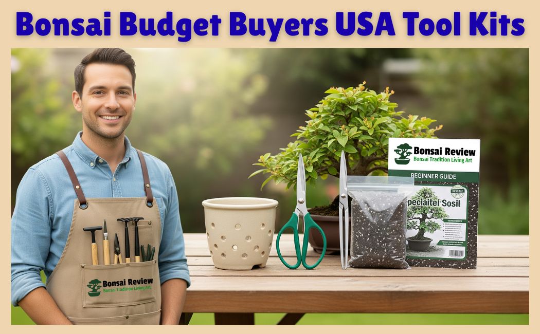 Best Bonsai Budget Buyers USA bonsai review