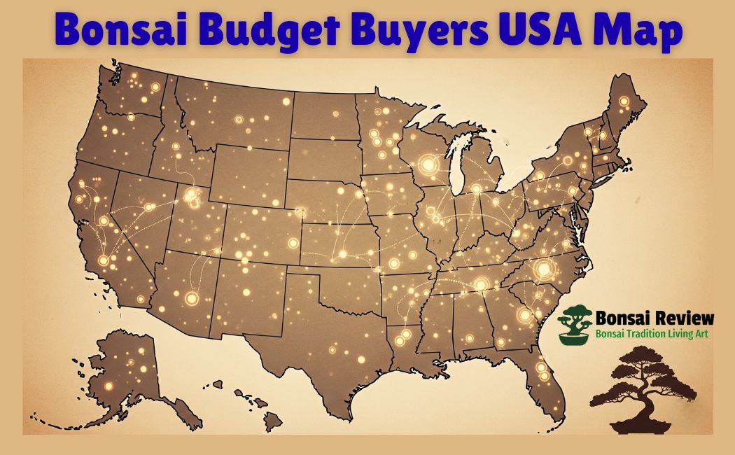 Best Bonsai Budget Buyers USA maps for store with bonsai review