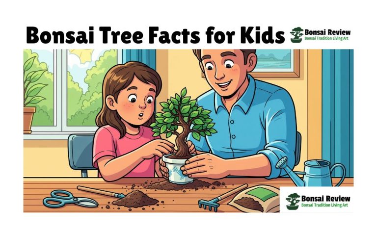 Bonsai Tree Facts for Kids with Bonsai Review