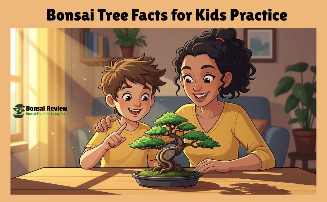 Bonsai Tree Facts for Kids practice with bonsai review