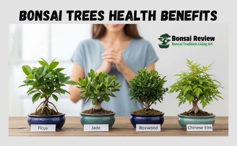 Bonsai Trees Health Benefits with bonsai review