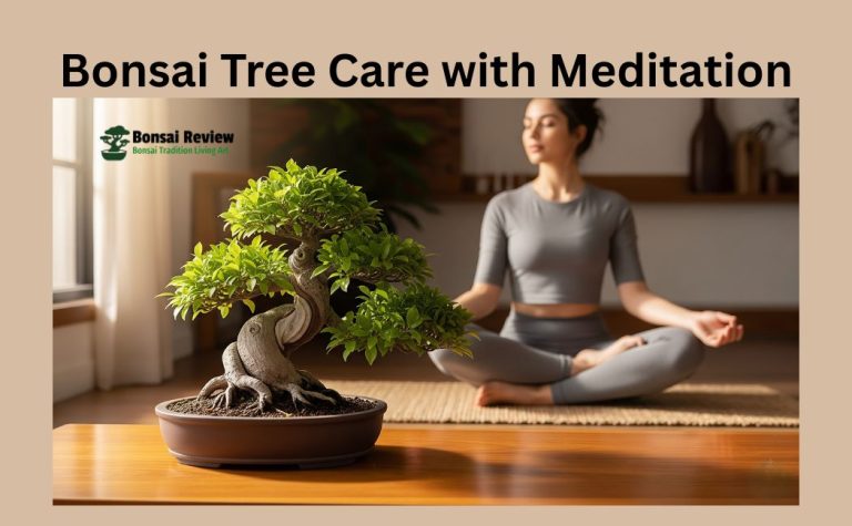 Bonsai Tree Care with Meditation and inner peace indoor and bonsai review