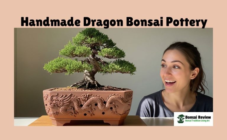 Handmade Dragon Bonsai Pottery USA with bonsai review