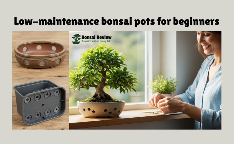Low-Maintenance Bonsai Pots for Beginners with bonsai review