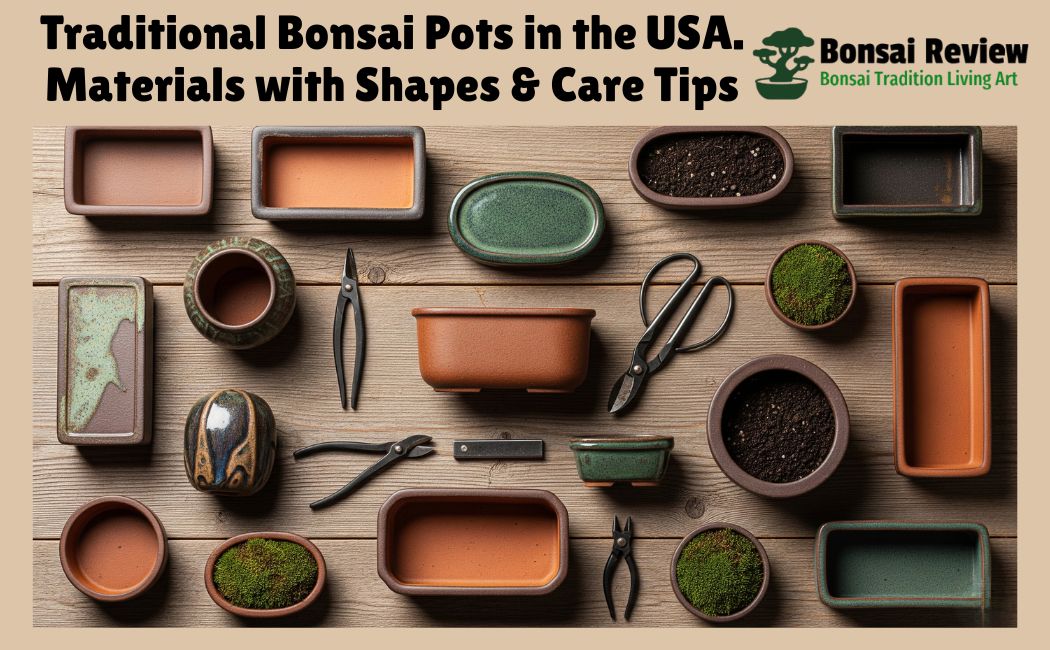 Traditional Bonsai Pots USA: Materials, Shapes & Care Tips
by bonsai review