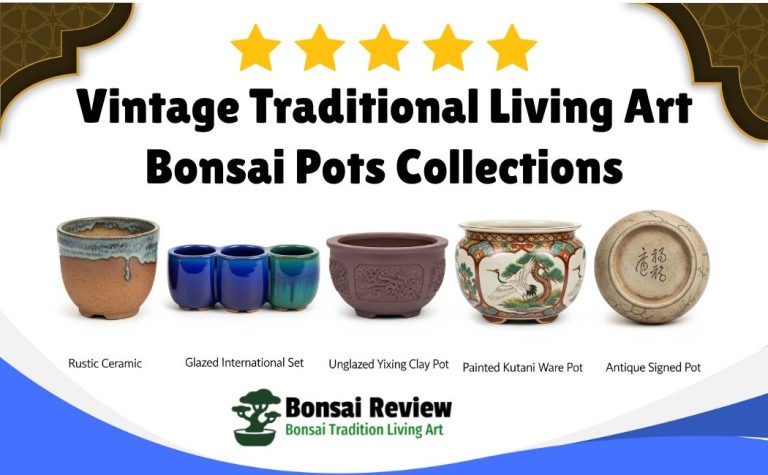 Vintage and Antique Bonsai Pots collections with bonsai review.