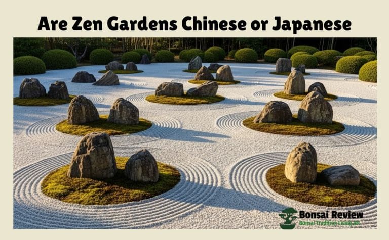 Are Zen Gardens Chinese or Japanese? Ancient to Modern Used