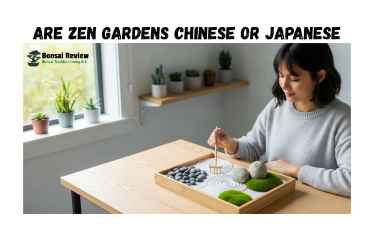 Are Zen Gardens Chinese or Japanese? details with Bonsai Review