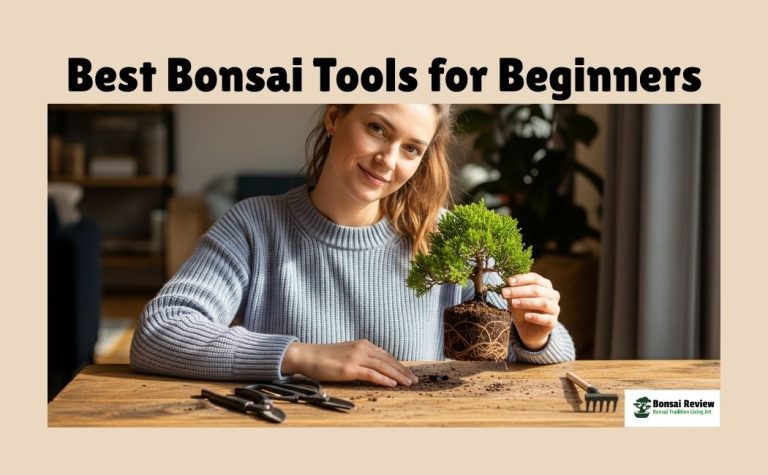 The best bonsai tools for beginners in the USA with bonsai review