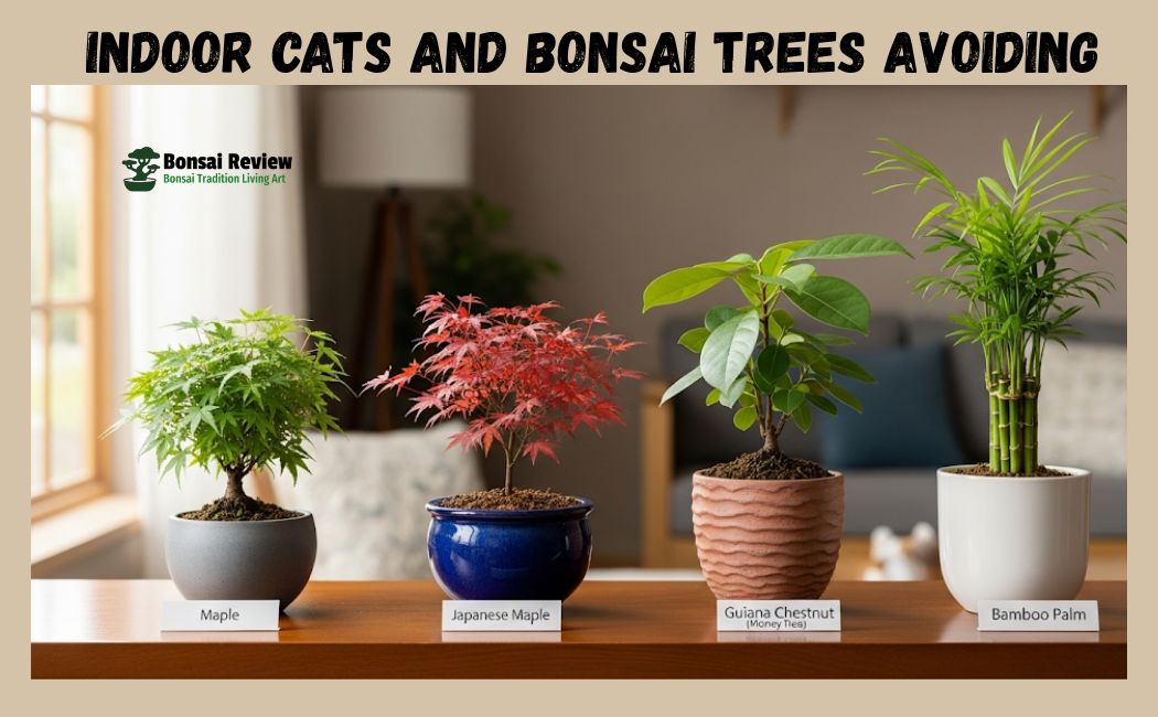 Indoor Cats and Bonsai Trees