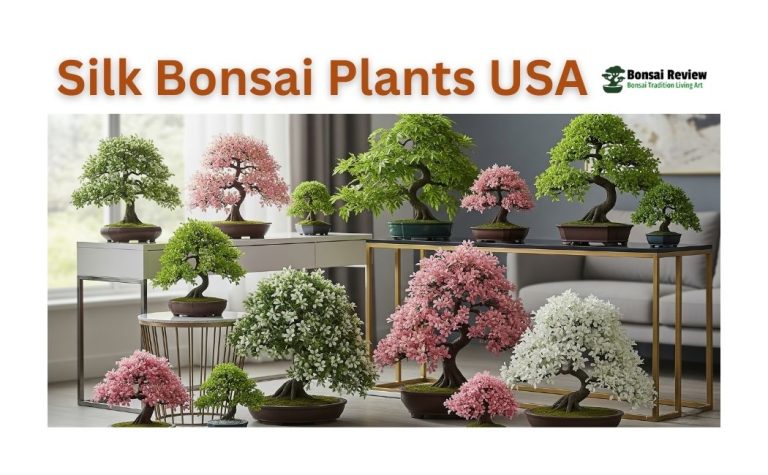 Silk-Bonsai-Plants-or-Persian-silk-tree-Bonsai-Review
