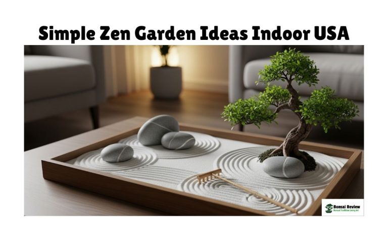 Simple Zen Garden Ideas Indoor USA with Bonsai review