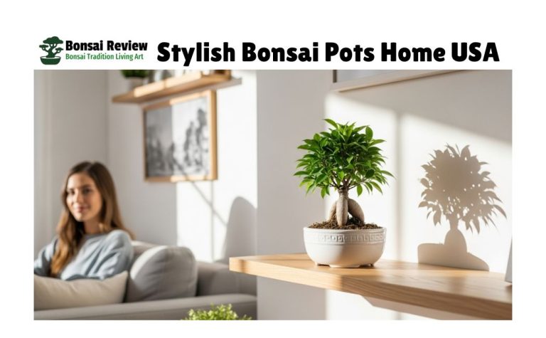 Stylish Bonsai Pots Home USA with bonsai review