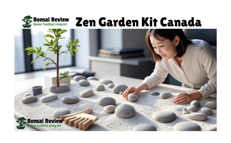 Zen garden kit Canada for Winter care with Bonsai review