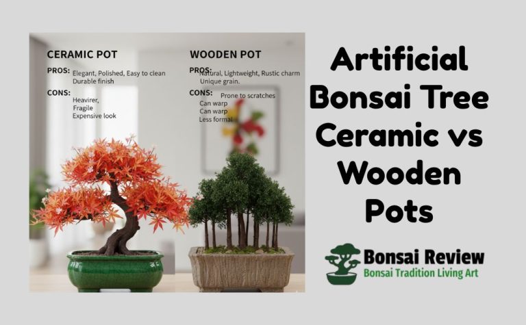 Artificial Bonsai Tree Ceramic VS Wooden Pots with Bonsai Review
