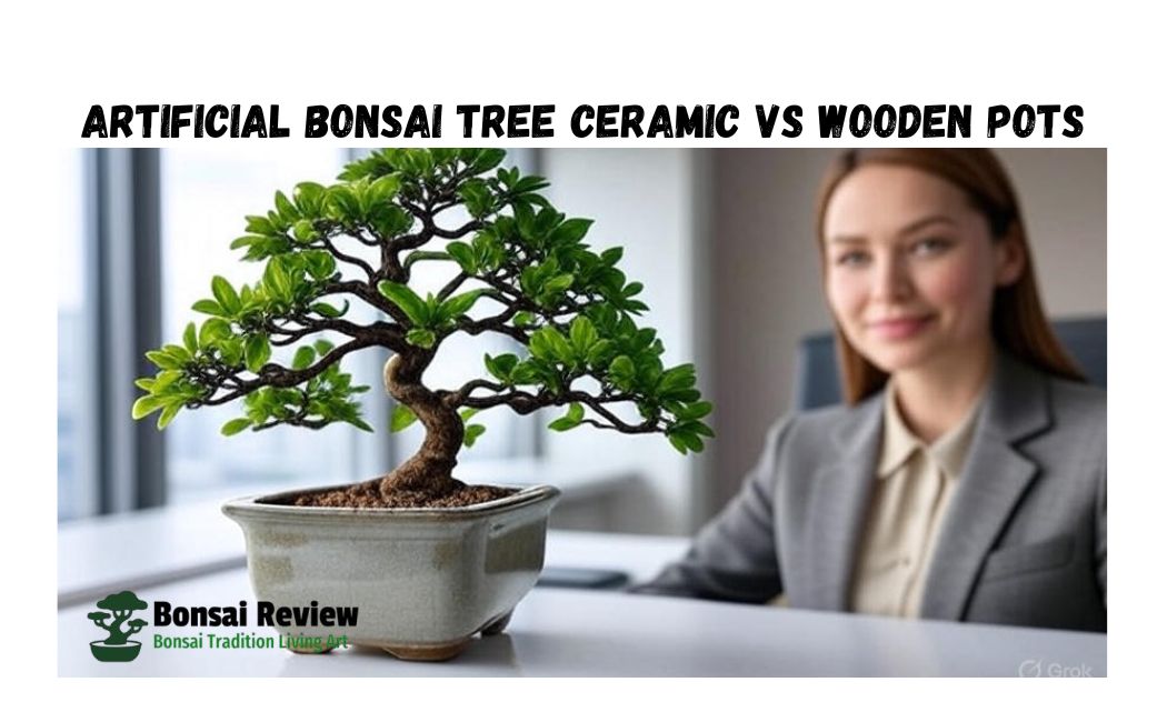 Artificial Bonsai Tree Ceramic VS Wooden Pots for Office decor