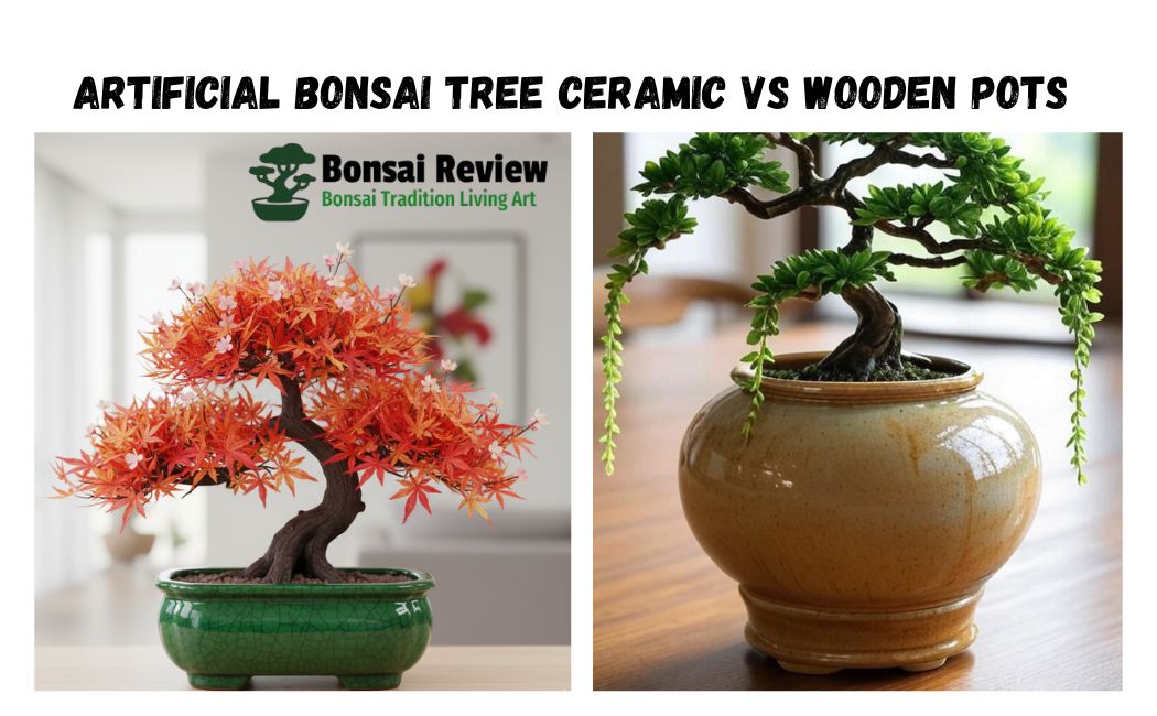 Artificial Bonsai Tree Ceramic VS Wooden Pots with bonsai review