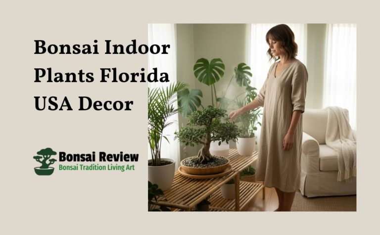 Bonsai Indoor Plants Florida USA with bonsai review