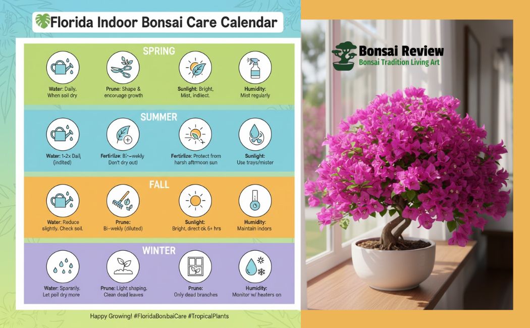 Bonsai Indoor Plants Florida USA Care Calendar with bonsai review