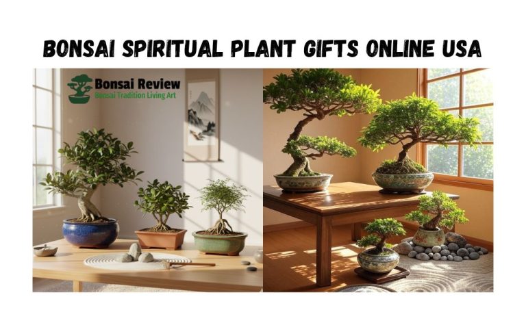 Bonsai Spiritual Plant Gifts Online USA