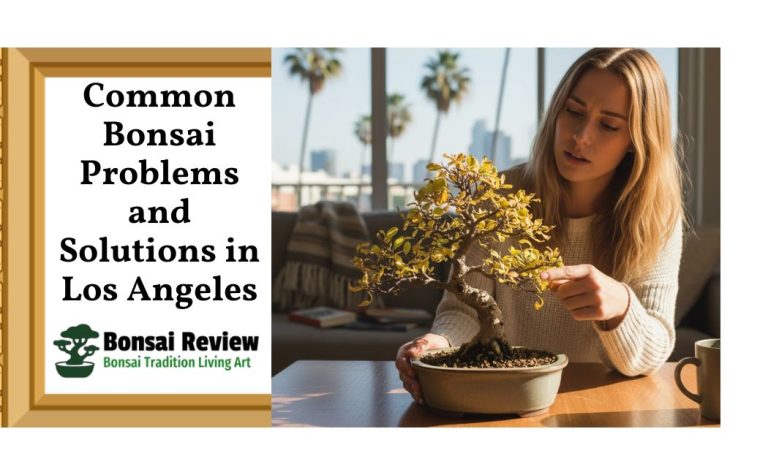 Common Bonsai Problems and Solutions in Los Angeles,US. with Bonsai Review