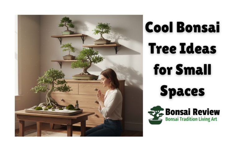 Cool Bonsai Tree Ideas for Small Spaces with bonsai review