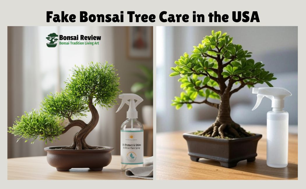 Fake Bonsai Tree Care in the USA 