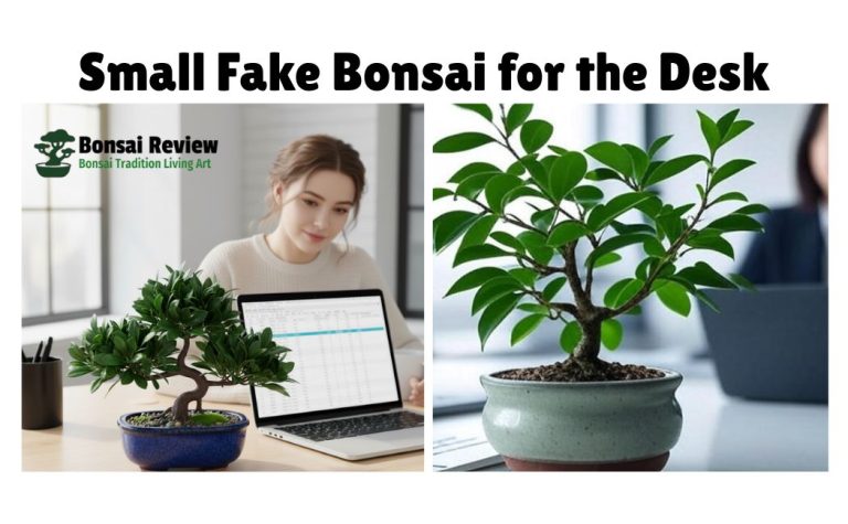 Small Fake Bonsai For The Desk Décor with Bonsai Review