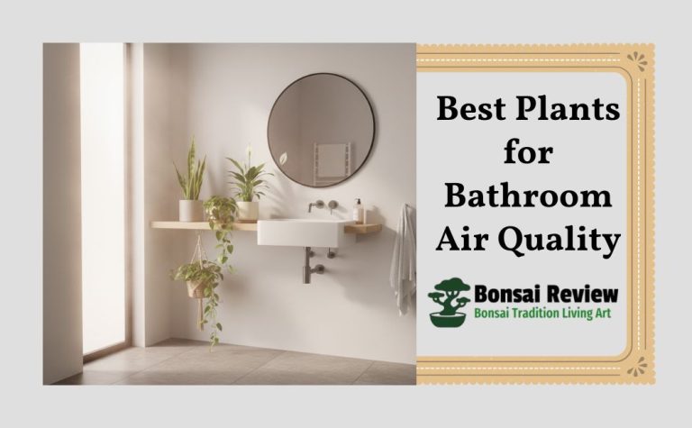 Best Plants for Bathroom Air Quality