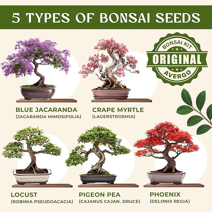 AVERGO Bonsai Tree Kit for Beginners 5 Types Unique Japanese Bonzai Trees and Bonsai starter kits for beginners