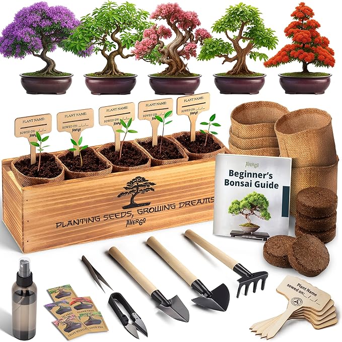 AVERGO Bonsai Tree Kit for Beginners – 5X Unique Japanese Bonzai Trees for Bonsai starter kits for beginners