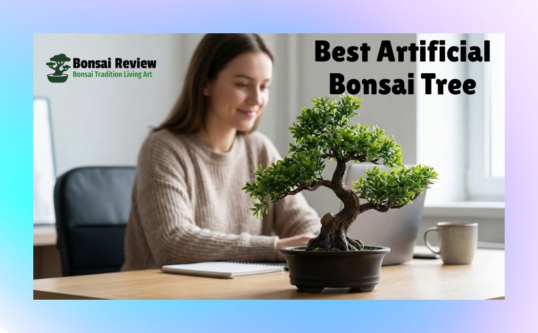 Best Artificial Bonsai Tree with Bonsai Review