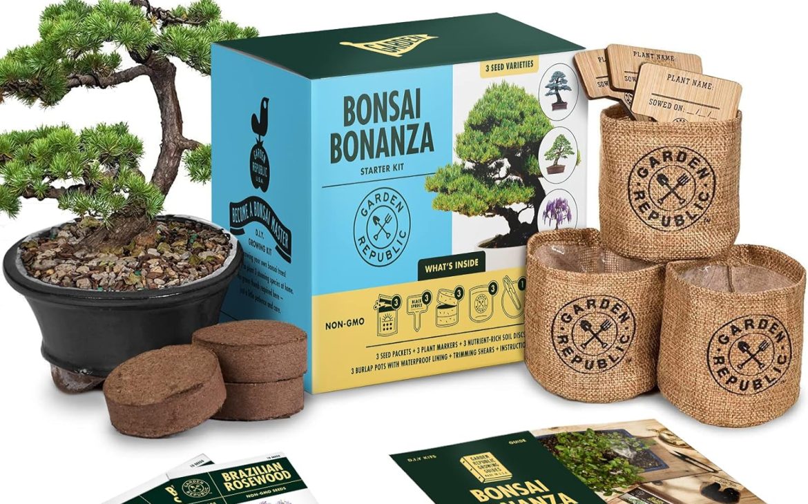 Garden Republic Bonsai Tree Kit Grow 3 Mini Bonsai Trees Indoor Plant Growing Starter Kit with Seeds Soil Planters & Shears Gardening Gifts for Bonsai starter kits for beginners