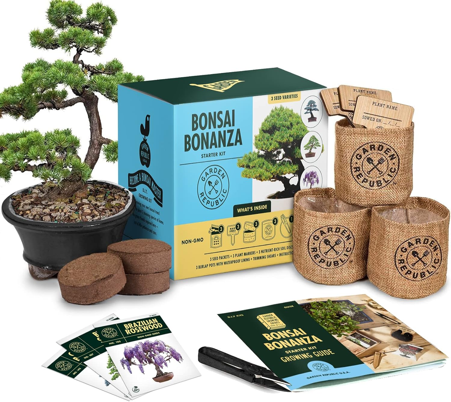 Garden Republic Bonsai Tree Kit Grow 3 Mini Bonsai Trees Indoor Plant Growing Starter Kit with Seeds Soil Planters & Shears Gardening Gifts for Bonsai starter kits for beginners